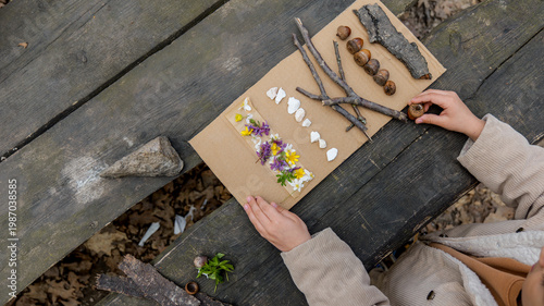 Child's hands creating nature art with flowers, acorns, and sticks on cardboard