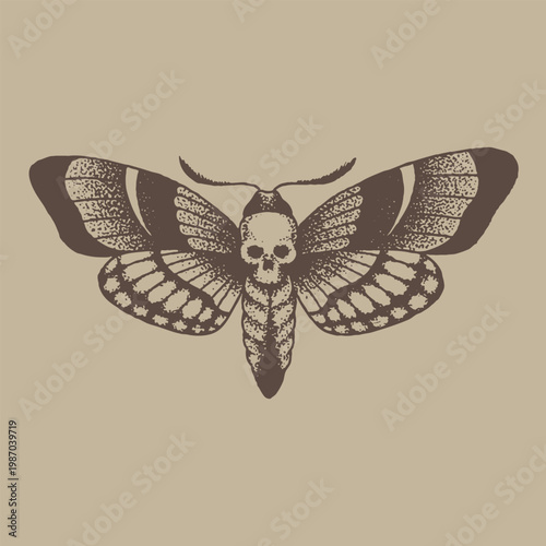 Detailed Death Moth Illustration With Skull Pattern On Wings