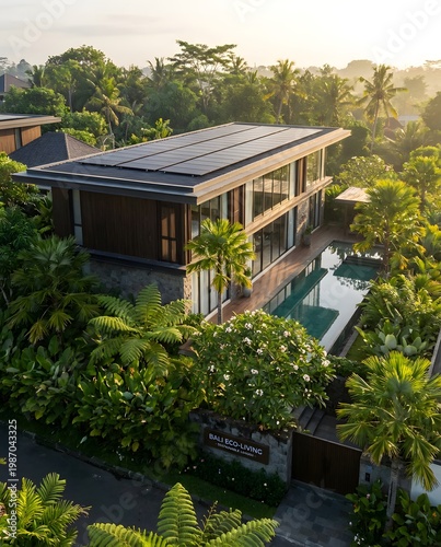 Aerial view of luxury tropical eco villa with pool and roof solar