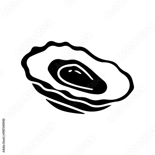 Oyster Shell Line Art Illustration on White Background