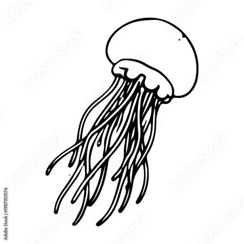 Minimalist Jellyfish Line Art Illustration on White Background