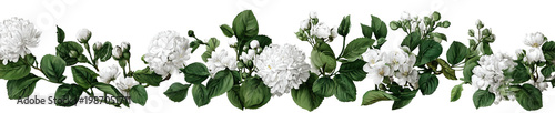 A beautiful floral arrangement with white flowers on transparent background