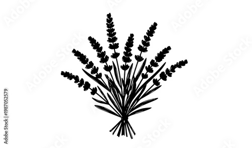 Hand drawn lavender bouquet vector purple floral arrangement botanical illustration