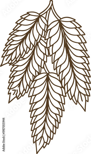Detailed hand drawn hop cone illustration in natural brown line art botanical sketch