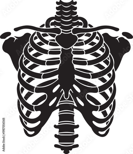 Symmetrical Human Rib Cage Silhouette, Minimalist Anatomical Vector