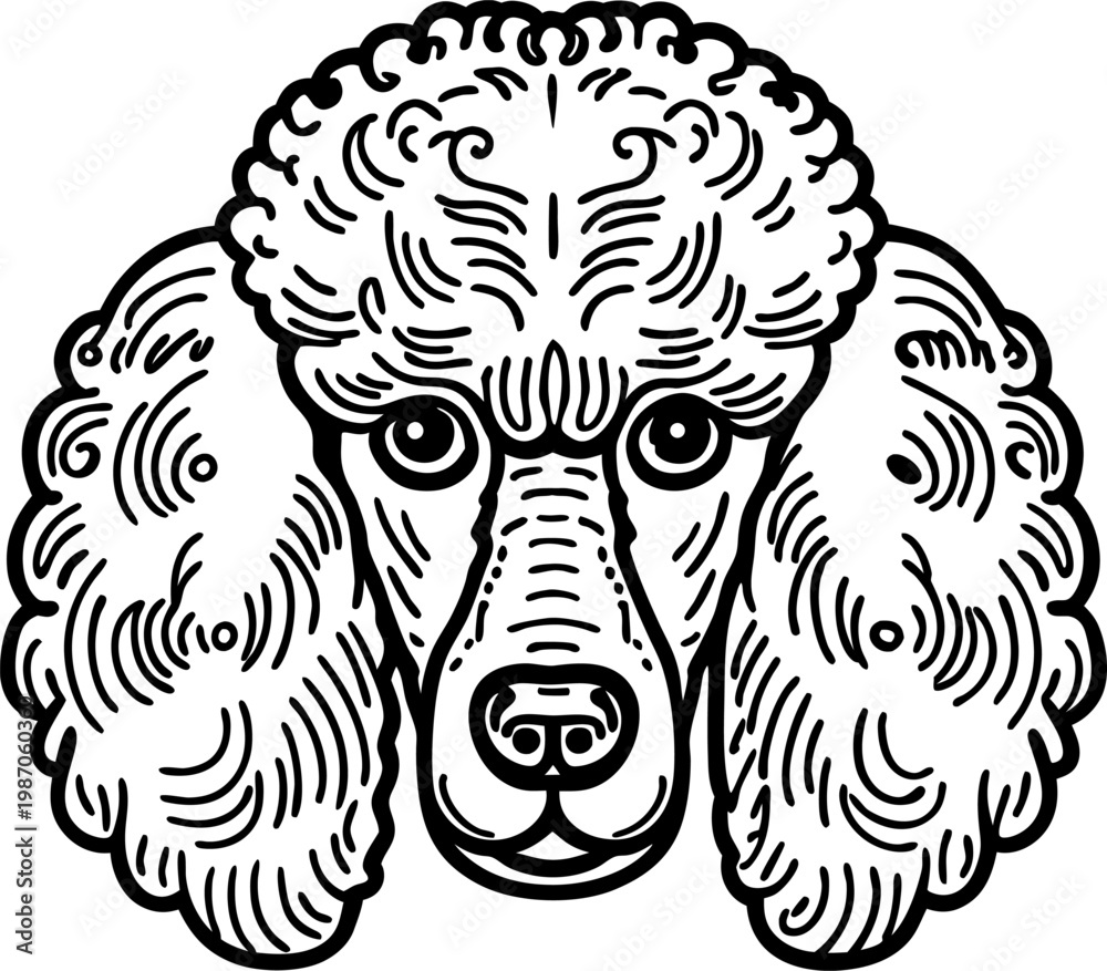 Fototapeta premium Detailed poodle dog head illustration with curly fur and expressive eyes in black and white line art