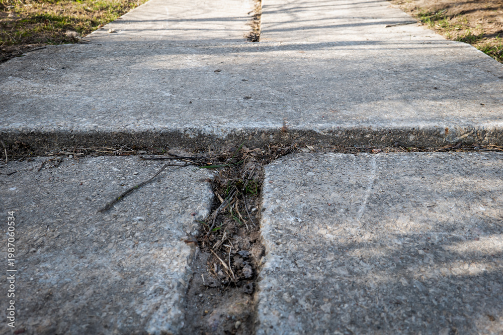 Naklejka premium Cracked Sidewalk with Tree Roots Causing Uneven Pavement and Surface Damage