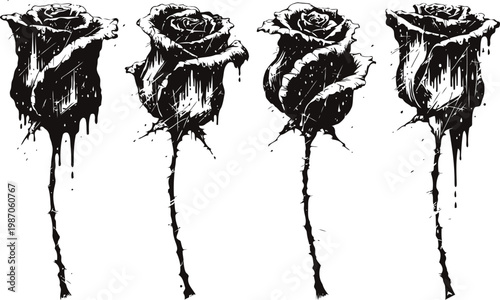 grunge black roses set with dripping paint effect dark artistic floral illustration isolated on white background