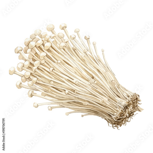 えのき茸 水彩風イラスト きのこ食材素材