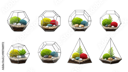 Modern Terrarium Icon Sheet with Geometric Glass Shapes, Colorful Moss, and Pebbles, Flat Vector Style, Clean Botanical Ecosystem on White Background