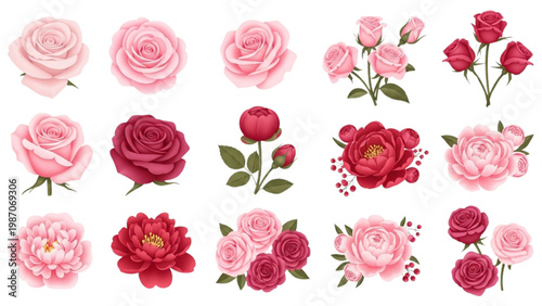 Romantic Rose and Peony Icon Sheet, Soft Pink and Red Gradients, Elegant Floral Vector Set, Flat Design Flowers Isolated on a White Background