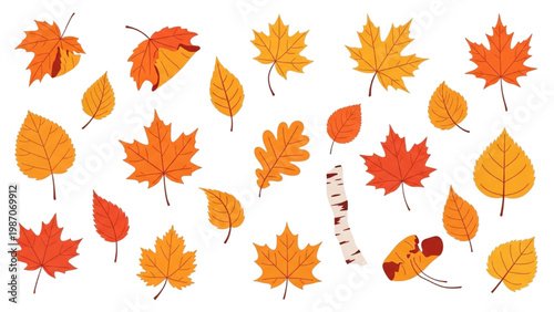 Autumn Leaf Icon Collection with Maple Oak and Birch Leaves, Vibrant Orange Red and Gold Foliage, Flat Vector Style Isolated on White Background