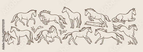 Wild horse herd running vector sketch, hand drawn equine animals line art, majestic stallion and mare illustration, ranch life nature wildlife drawing, equestrian horse silhouettes art, powerful horse