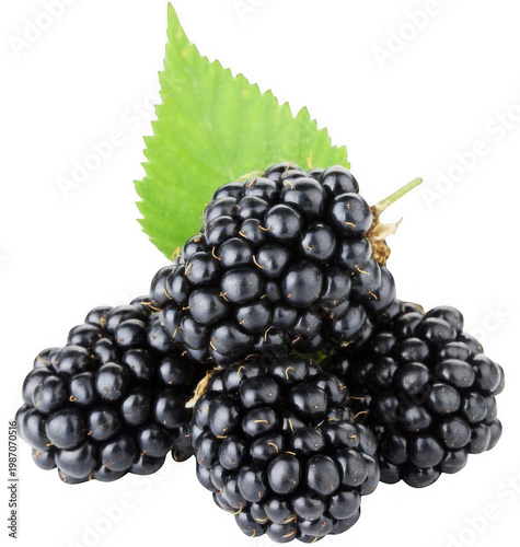 Fresh blackberries with green leaves on a clean surface indoors