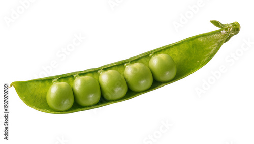 Tableau sur toile Fresh green pea pod with five round peas, isolated on transparent background