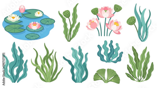 Aquatic Plant Icon Collection with Water Lilies Lotus and Seaweed, Calming Blue and Green Tones, Flat Vector Style, Pond Flora on White Background