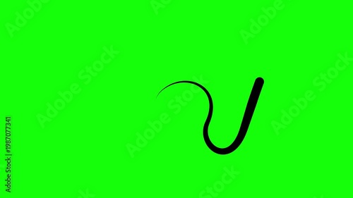 Wallpaper Mural Animated black drop of liquid moving. Fluid effect. Looped video. Vector illustration isolated on green background.  Torontodigital.ca