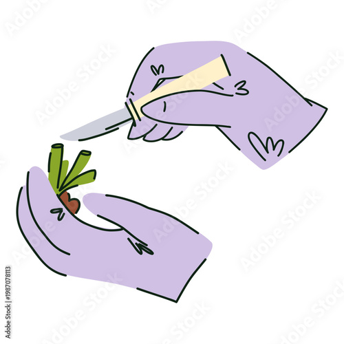 Hands in latex laboratory gloves holding a plant cutting and a scalpel, preparing a plant for laboratory testing, plant breeding, soil testing