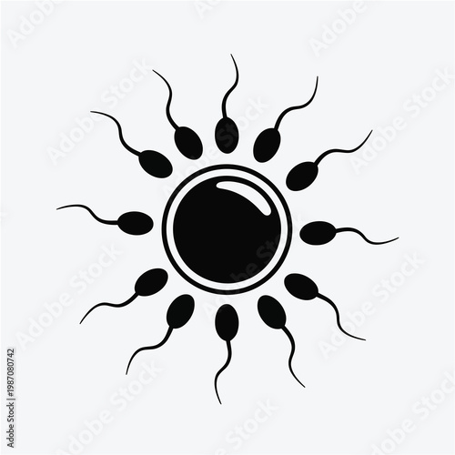 Fertilization process illustration with sperm cells swimming toward human egg cell conception biology vector design