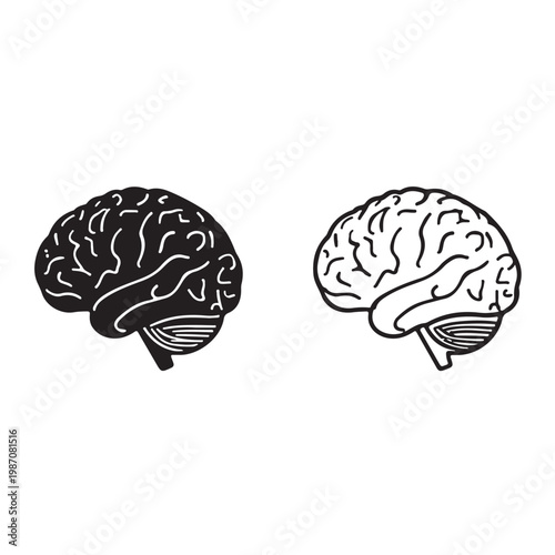 Human Brain Anatomy Silhouette and Line Art Icon Set – Lateral View