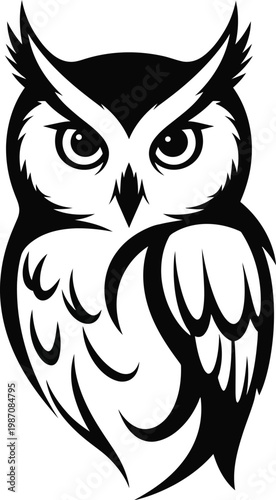 Black and white owl head with sharp gaze bird animal symbol