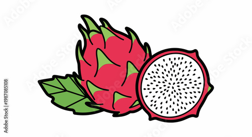 Dragon Fruit with Green Leaves Illustration.