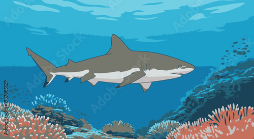 Gray shark swimming in ocean water 2.