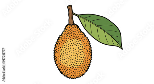 Jackfruit with green leaf attached.