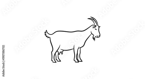 Goat Standing Side View.