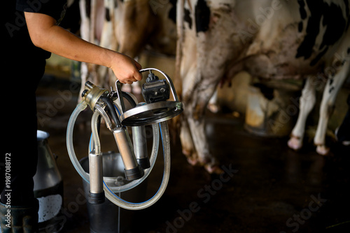 Cropped shot hand carrying milking machine equipment in dairy farm before milk collection process