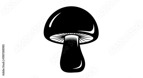 Black and white illustration of a single mushroom with gills visible.