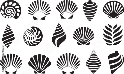 Various sea shell silhouettes showing detailed patterns and spiral shapes for oceanic and marine life themes