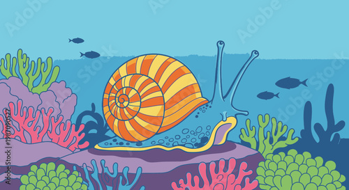 Colorful Large Sea Snail Shell.