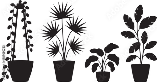 Collection of modern house plants in pots with varied leaf shapes and long trailing vine stems
