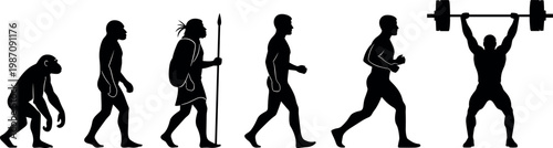 Human evolution silhouette vector illustration showing progress from primate to modern athlete lifting heavy barbell for fitness and gym concepts