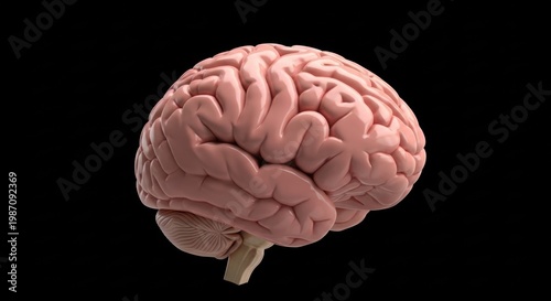 Human Brain Illustration on Black Background