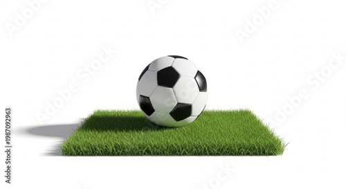 Football Ball with Natural Grass Base