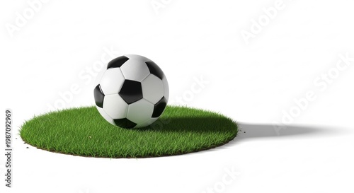 Sports Soccer Ball with Grass Detail
