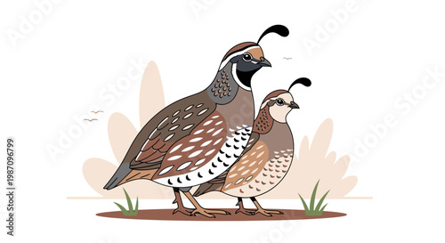Two quails standing side by side.