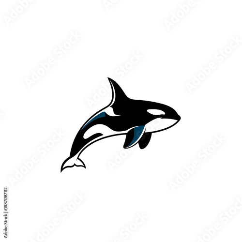 Stylized orca killer whale swimming with black, white, and blue colors