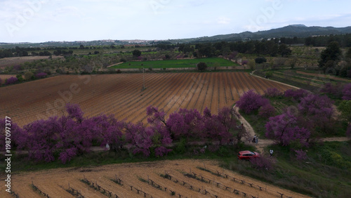 Картината върху платно Aerial view of the Paseo del Amor (Love Walk) in Bullas, Region of Murcia, Spain