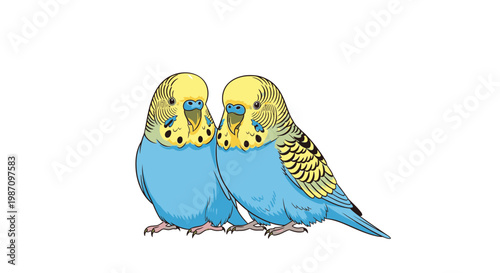 Two Yellow and Blue Colorful Budgies.