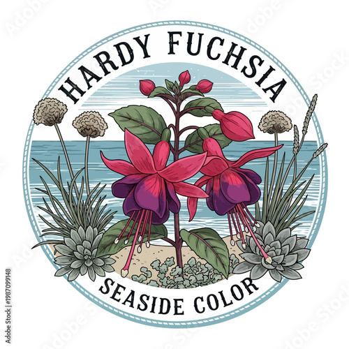 Hardy Fuchsia Flowers Seaside Colorful Blooms.
