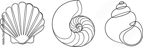 outline set of seashell nautilus and spiral shells isolated on transparent background vector illustration.