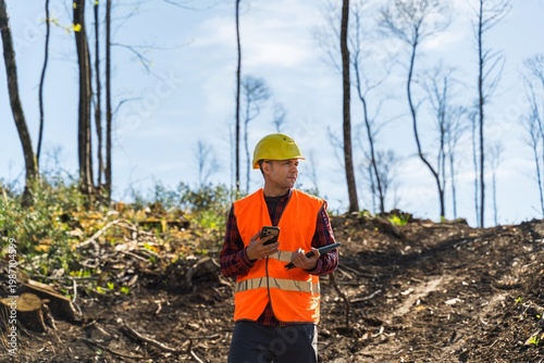 Slika na platnu Forestry inspector using smartphone and tablet in deforested area