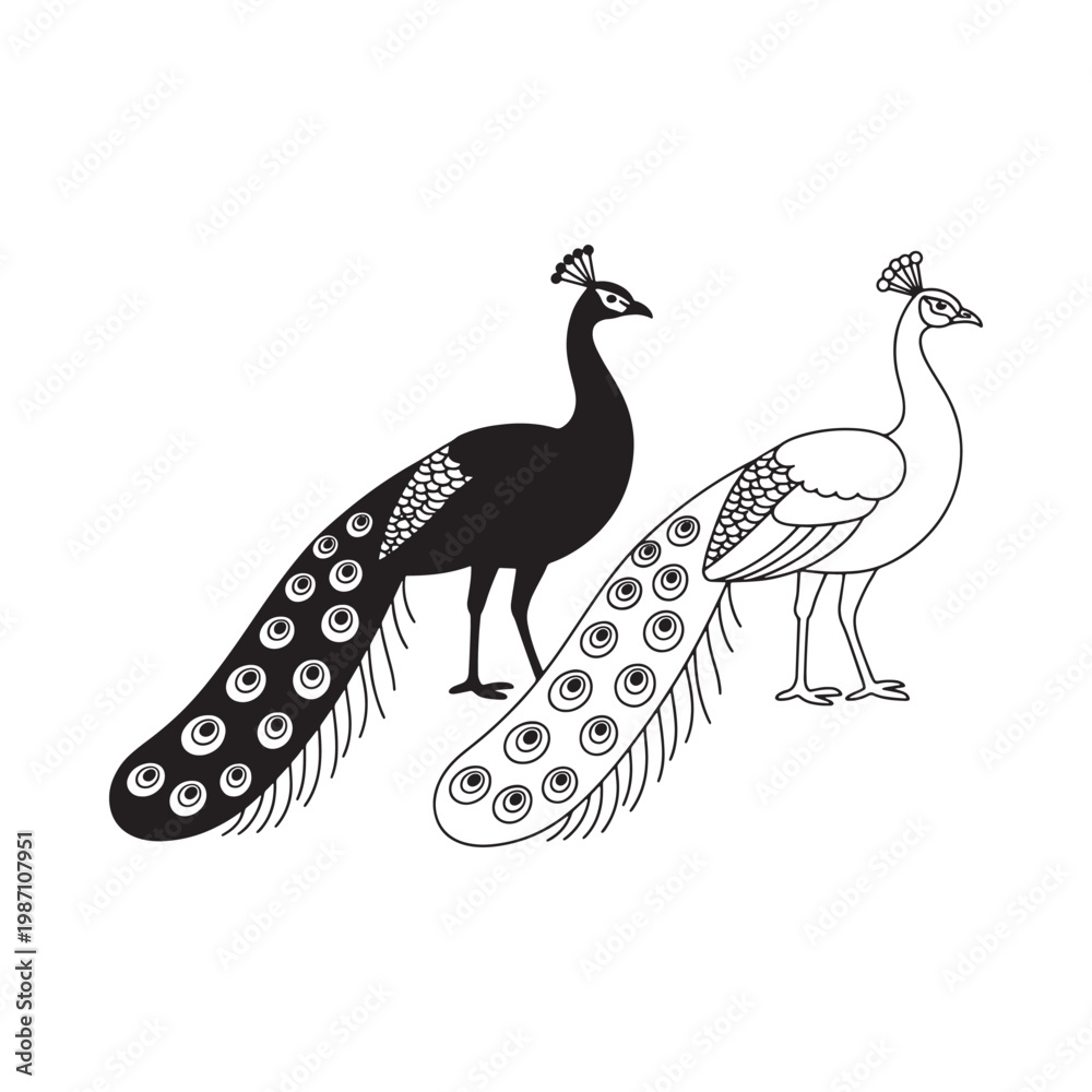 Fototapeta premium Two peacocks depicted in a contrasting black and white line art style