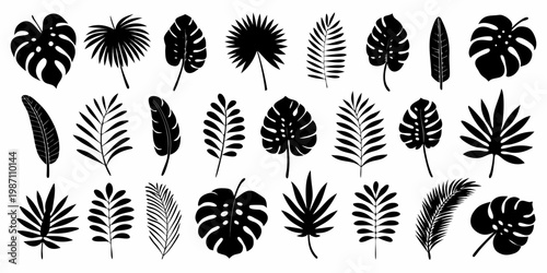Collection of various tropical leaves in a black and white illustration