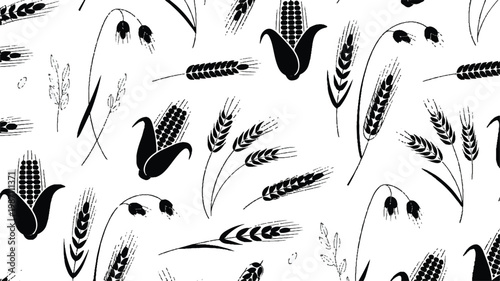 black and white illustration of various wheat and corn stalks and ears on white background