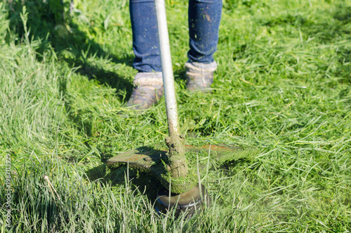 Gardening Maintenance Man Using String Trimmer in Lush Green Environment for Lawn Care and Weed Control