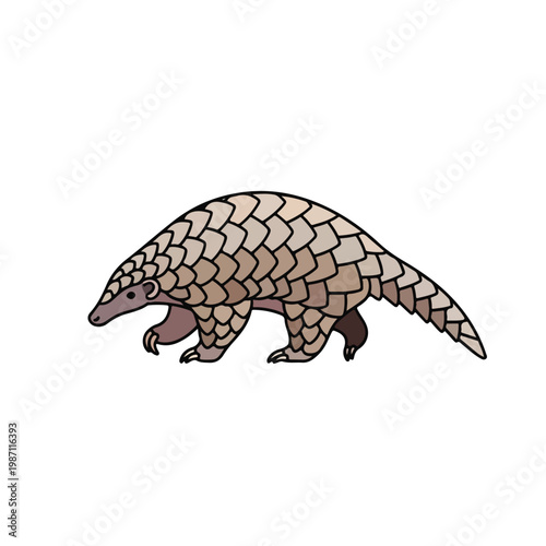 Pangolin walking on white background with brown scales